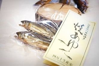 サンプルイメージ